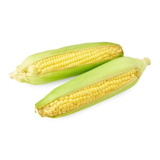 Sweet Corn